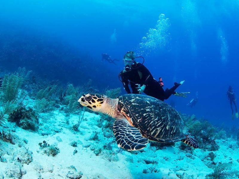 Ölüdeniz Scuba Diving